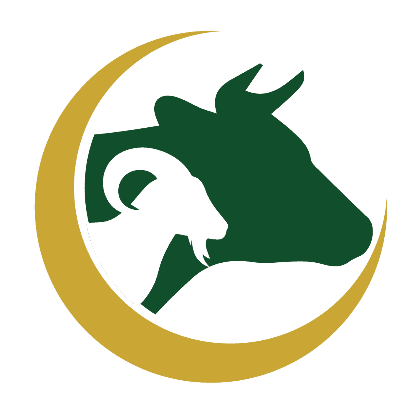 PT. QURBANI UNIVERSE CORPORA (QUC)